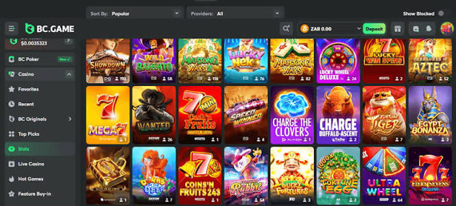 Exploring BC.Game Online Casino A Gateway to Virtual Entertainment